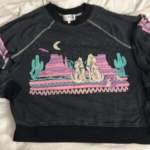 Wildfox sweatshirt
